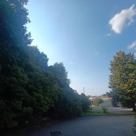 Green Hotel-3